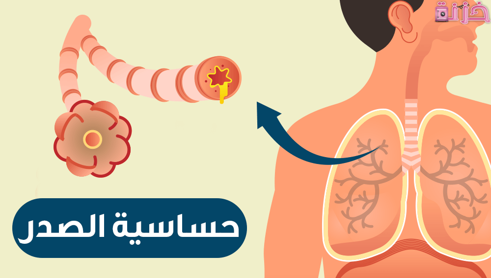 طريقة علاج الحساسية الصدرية وضيق التنفس والبلغم فى المنزل