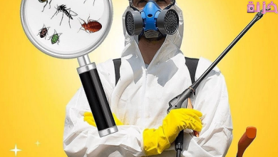 شروط ترخيص شركة مكافحة الحشرات في مصر