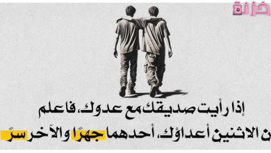 عبارات أقوال وحكم قصيرة عن الحياة والصداقة مكتوبة