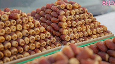 دليل عناوين وأرقام مصانع تعبئة التمور في السعودية