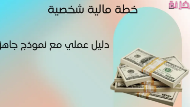 نموذج خطة مالية جاهزة