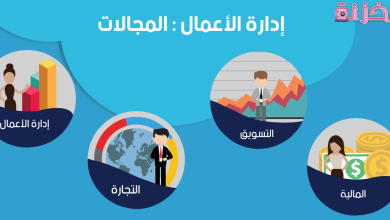 تخصصات و مجالات ادارة الاعمال في مصر