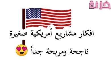 أفكار مشاريع غريبة في أمريكا