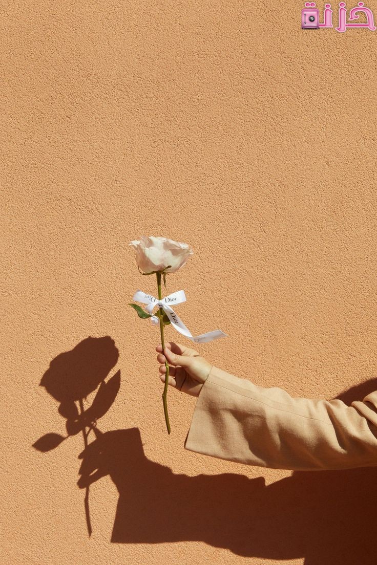 خلفيات بنات كيوت للموبايل