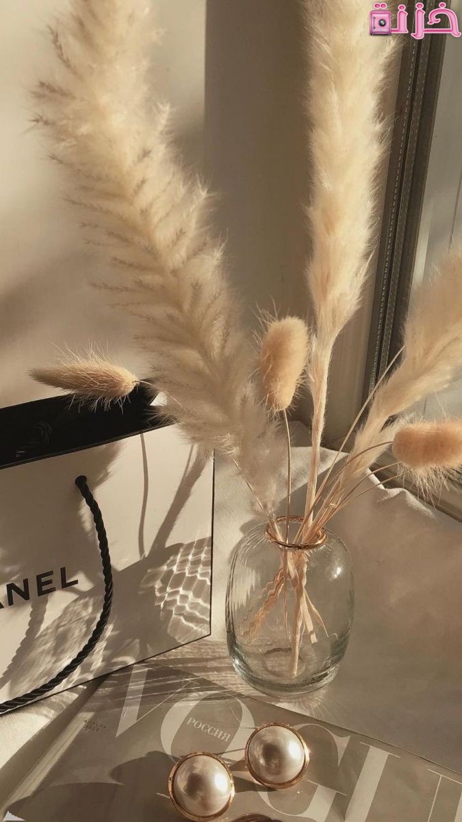 خلفيات واتس اب طبيعية